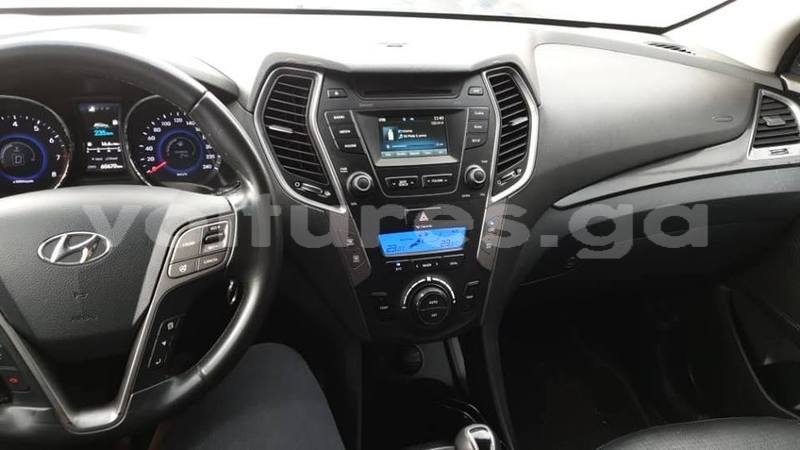 Big with watermark 57092898 442416156505431 1519982603862540288 n