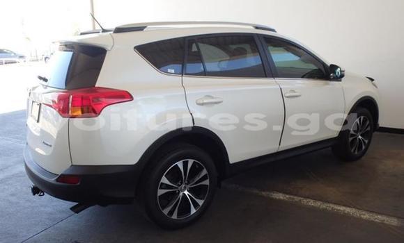 Buy Used Toyota RAV4 Green Car in Masuku (Franceville) in Haut-Ogooué Buy Used Toyota RAV4 Green Car in Masuku (Franceville) in Haut-Ogooué