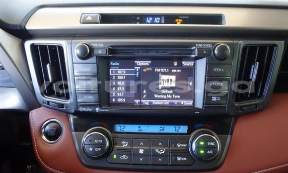 Buy Used Toyota RAV4 Green Car in Masuku (Franceville) in Haut-Ogooué Buy Used Toyota RAV4 Green Car in Masuku (Franceville) in Haut-Ogooué