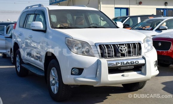 Acheter Import Voiture Toyota Prado Blanc à Import - Dubai, Estuaire Acheter Import Voiture Toyota Prado Blanc à Import - Dubai, Estuaire