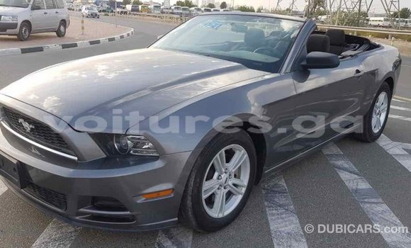 Acheter Import Voiture Ford Mustang Autre à Import - Dubai, Estuaire Acheter Import Voiture Ford Mustang Autre à Import - Dubai, Estuaire