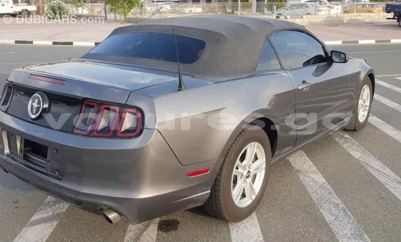 Acheter Import Voiture Ford Mustang Autre à Import - Dubai, Estuaire Acheter Import Voiture Ford Mustang Autre à Import - Dubai, Estuaire