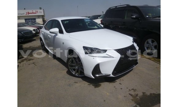 Buy Import Lexus IS White Car in Import - Dubai in Estuary Buy Import Lexus IS White Car in Import - Dubai in Estuary