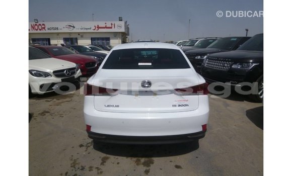 Buy Import Lexus IS White Car in Import - Dubai in Estuary Buy Import Lexus IS White Car in Import - Dubai in Estuary