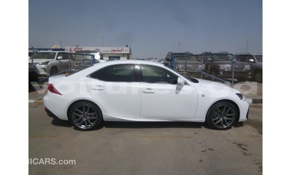 Buy Import Lexus IS White Car in Import - Dubai in Estuary Buy Import Lexus IS White Car in Import - Dubai in Estuary