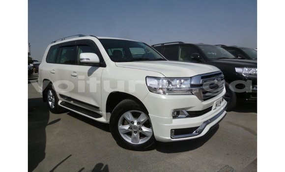 Sayi Imported Toyota Land Cruiser White Mota in Import - Dubai a estuary Sayi Imported Toyota Land Cruiser White Mota in Import - Dubai a estuary