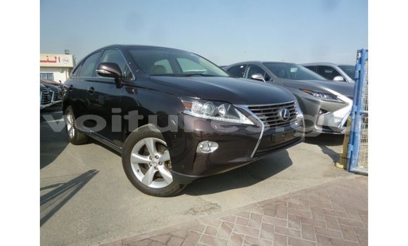 Sayi Imported Lexus RX Brown Mota in Import - Dubai a estuary Sayi Imported Lexus RX Brown Mota in Import - Dubai a estuary