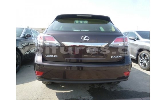 Sayi Imported Lexus RX Brown Mota in Import - Dubai a estuary Sayi Imported Lexus RX Brown Mota in Import - Dubai a estuary