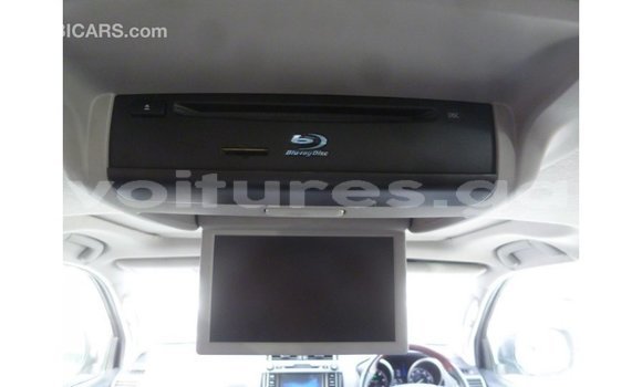 Sayi Imported Toyota Prado Sauran Mota in Import - Dubai a estuary Sayi Imported Toyota Prado Sauran Mota in Import - Dubai a estuary