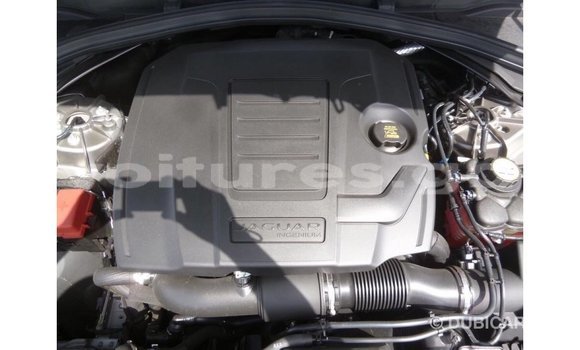 Acheter Import Voiture Jaguar F-Pace Autre à Import - Dubai, Estuaire Acheter Import Voiture Jaguar F-Pace Autre à Import - Dubai, Estuaire