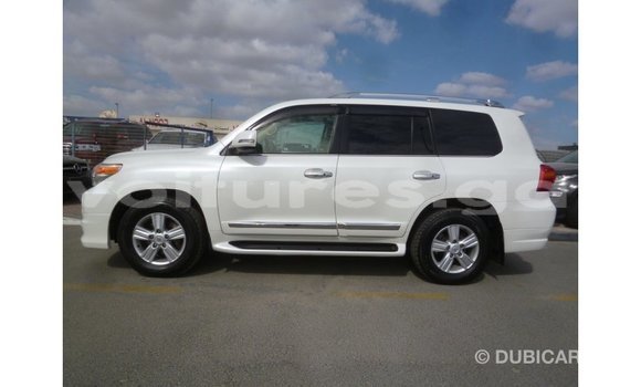Acheter Import Voiture Toyota Land Cruiser Blanc à Import - Dubai, Estuaire Acheter Import Voiture Toyota Land Cruiser Blanc à Import - Dubai, Estuaire