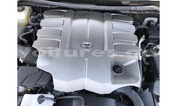 Buy Import Toyota Land Cruiser White Car in Import - Dubai in Estuary Buy Import Toyota Land Cruiser White Car in Import - Dubai in Estuary