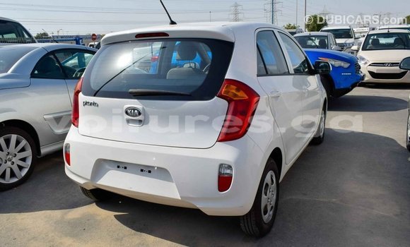 Acheter Import Voiture Kia Picanto Blanc à Import - Dubai, Estuaire Acheter Import Voiture Kia Picanto Blanc à Import - Dubai, Estuaire