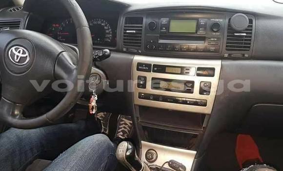 Acheter Occasion Voiture Toyota Corolla Rouge à Libreville, Estuaire Acheter Occasion Voiture Toyota Corolla Rouge à Libreville, Estuaire