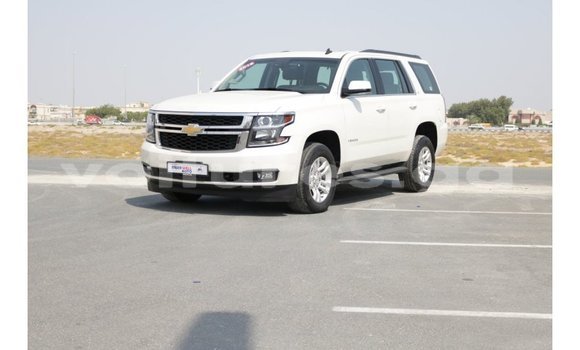 Acheter Import Voiture Chevrolet Tahoe Blanc à Import - Dubai, Estuaire