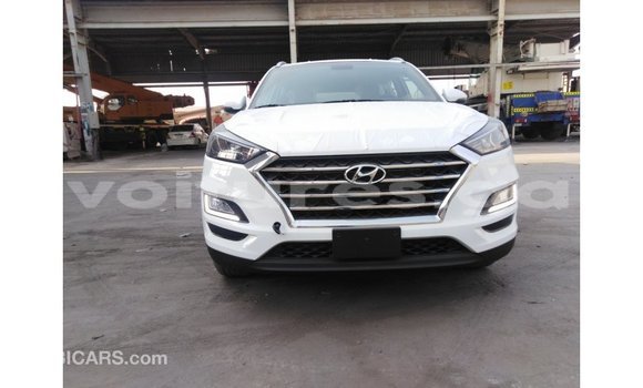 Acheter Import Voiture Hyundai Tucson Blanc à Import - Dubai, Estuaire Acheter Import Voiture Hyundai Tucson Blanc à Import - Dubai, Estuaire