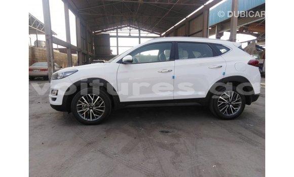 Acheter Import Voiture Hyundai Tucson Blanc à Import - Dubai, Estuaire Acheter Import Voiture Hyundai Tucson Blanc à Import - Dubai, Estuaire