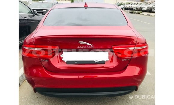 Sayi Imported Jaguar XE Red Mota in Import - Dubai a estuary Sayi Imported Jaguar XE Red Mota in Import - Dubai a estuary