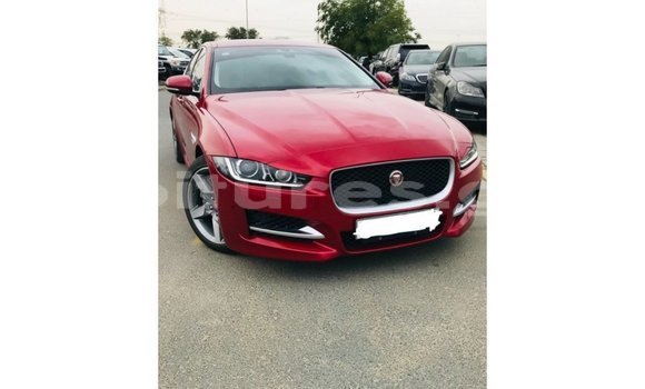 Sayi Imported Jaguar XE Red Mota in Import - Dubai a estuary Sayi Imported Jaguar XE Red Mota in Import - Dubai a estuary