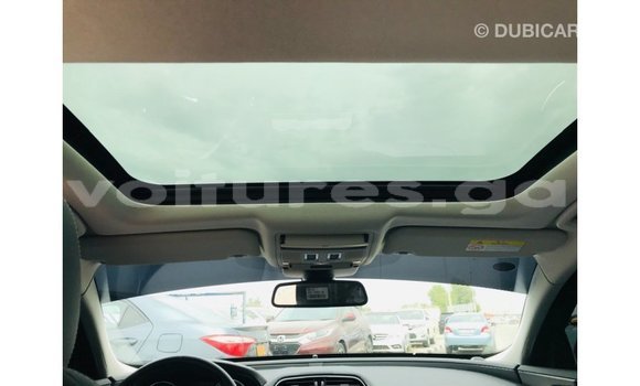 Sayi Imported Jaguar XE Red Mota in Import - Dubai a estuary Sayi Imported Jaguar XE Red Mota in Import - Dubai a estuary