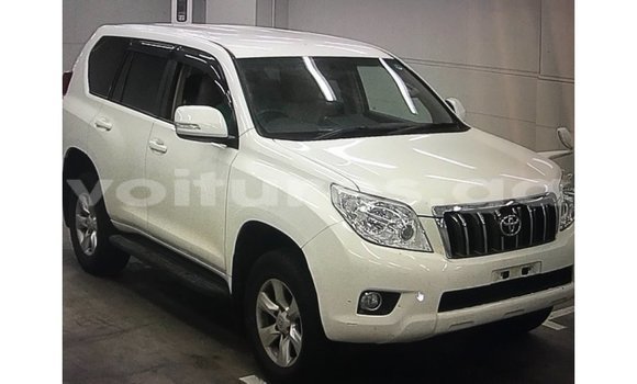 Acheter Import Voiture Toyota Prado Blanc à Import - Dubai, Estuaire Acheter Import Voiture Toyota Prado Blanc à Import - Dubai, Estuaire