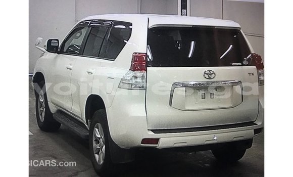 Acheter Import Voiture Toyota Prado Blanc à Import - Dubai, Estuaire Acheter Import Voiture Toyota Prado Blanc à Import - Dubai, Estuaire