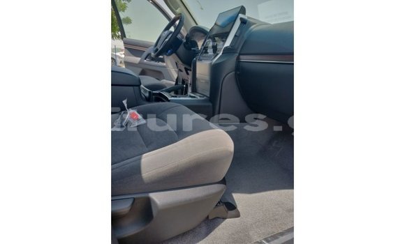 Buy Import Toyota Land Cruiser Other Car in Import - Dubai in Estuary Buy Import Toyota Land Cruiser Other Car in Import - Dubai in Estuary