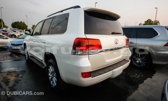 Acheter Import Voiture Toyota Land Cruiser Blanc à Import - Dubai, Estuaire Acheter Import Voiture Toyota Land Cruiser Blanc à Import - Dubai, Estuaire
