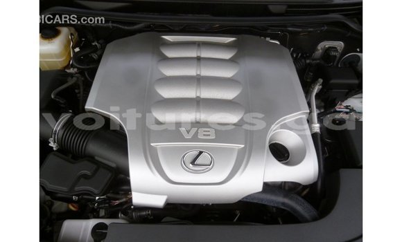 Buy Import Lexus LX White Car in Import - Dubai in Estuary Buy Import Lexus LX White Car in Import - Dubai in Estuary