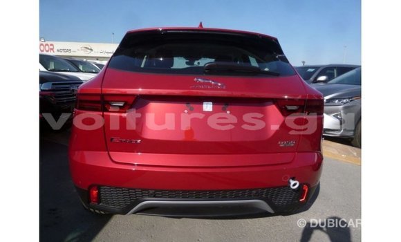 Buy Import Jaguar E-Pace Red Car in Import - Dubai in Estuary Buy Import Jaguar E-Pace Red Car in Import - Dubai in Estuary