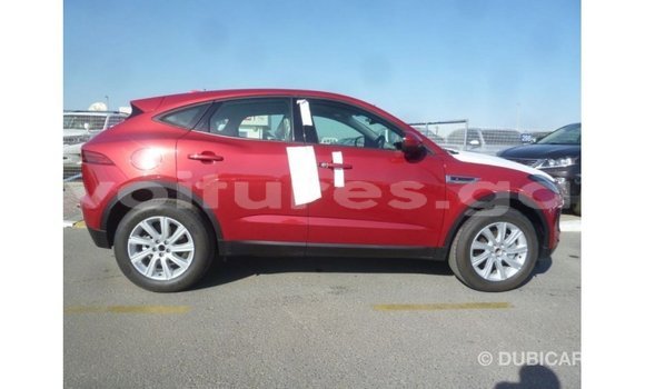 Buy Import Jaguar E-Pace Red Car in Import - Dubai in Estuary Buy Import Jaguar E-Pace Red Car in Import - Dubai in Estuary