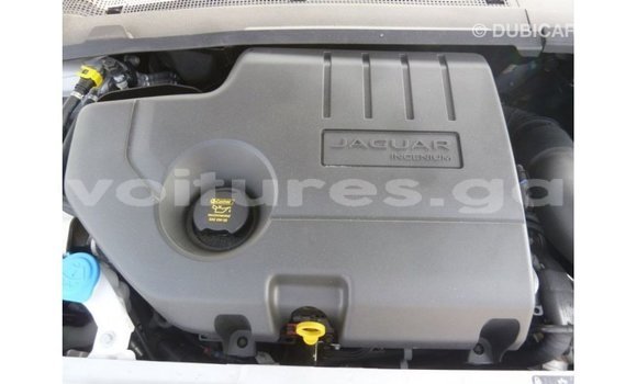 Acheter Import Voiture Jaguar E-Pace Blanc à Import - Dubai, Estuaire Acheter Import Voiture Jaguar E-Pace Blanc à Import - Dubai, Estuaire