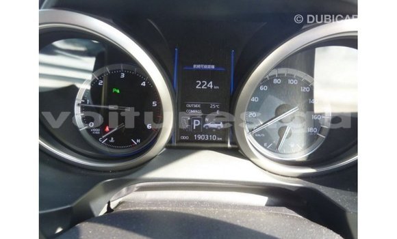 Buy Import Toyota Prado White Car in Import - Dubai in Estuary Buy Import Toyota Prado White Car in Import - Dubai in Estuary