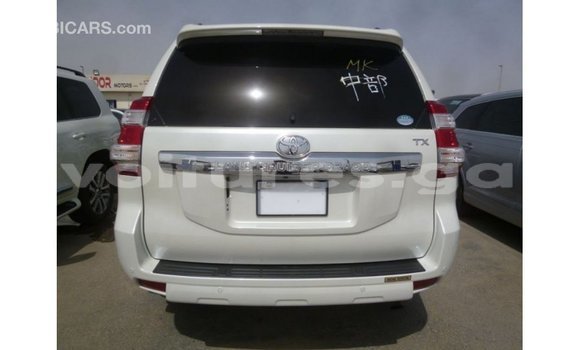 Buy Import Toyota Prado White Car in Import - Dubai in Estuary Buy Import Toyota Prado White Car in Import - Dubai in Estuary
