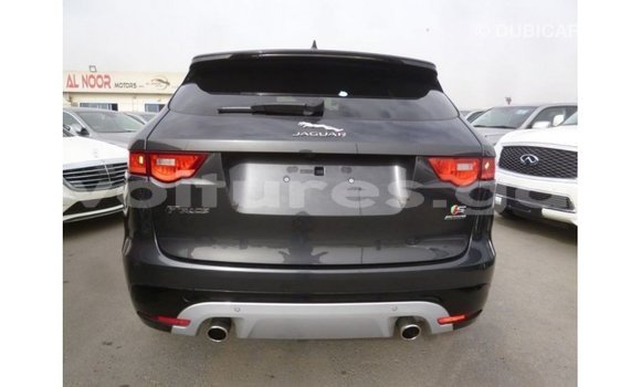Buy Import Jaguar F-Type Black Car in Import - Dubai in Estuary Buy Import Jaguar F-Type Black Car in Import - Dubai in Estuary