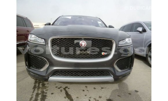 Buy Import Jaguar F-Type Black Car in Import - Dubai in Estuary Buy Import Jaguar F-Type Black Car in Import - Dubai in Estuary