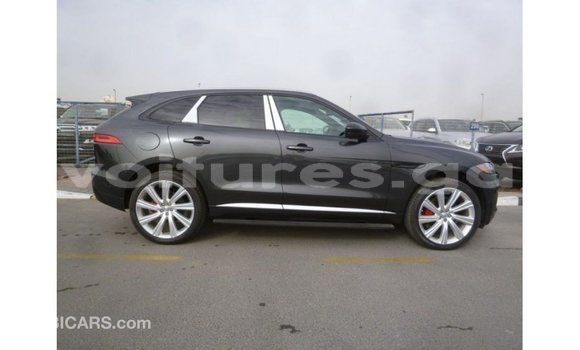 Buy Import Jaguar F-Type Black Car in Import - Dubai in Estuary Buy Import Jaguar F-Type Black Car in Import - Dubai in Estuary