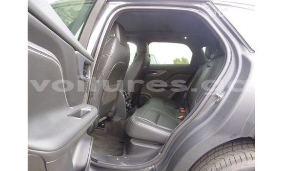 Buy Import Jaguar F-Type Black Car in Import - Dubai in Estuary Buy Import Jaguar F-Type Black Car in Import - Dubai in Estuary