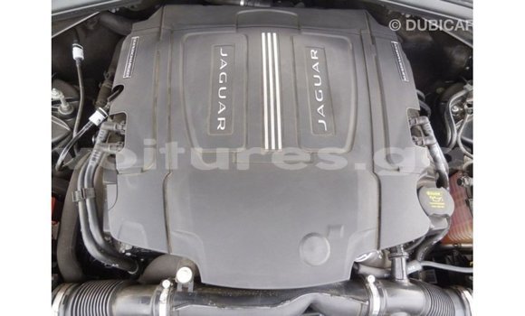 Buy Import Jaguar F-Type Black Car in Import - Dubai in Estuary Buy Import Jaguar F-Type Black Car in Import - Dubai in Estuary