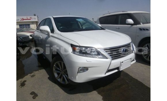 Buy Import Lexus RX White Car in Import - Dubai in Estuary Buy Import Lexus RX White Car in Import - Dubai in Estuary