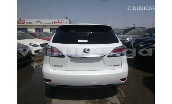 Buy Import Lexus RX White Car in Import - Dubai in Estuary Buy Import Lexus RX White Car in Import - Dubai in Estuary