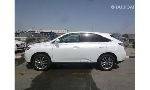 Buy Import Lexus RX White Car in Import - Dubai in Estuary Buy Import Lexus RX White Car in Import - Dubai in Estuary