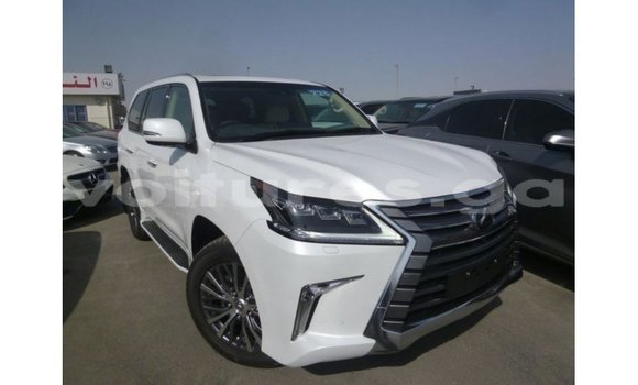 Sayi Imported Lexus LX White Mota in Import - Dubai a estuary Sayi Imported Lexus LX White Mota in Import - Dubai a estuary
