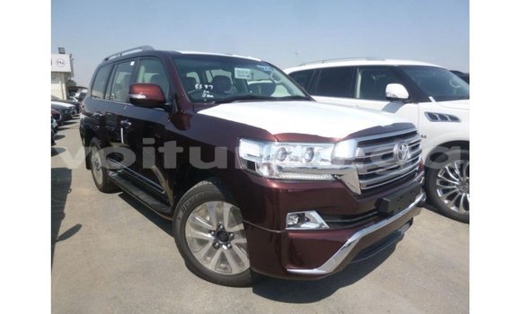 Buy Import Toyota Land Cruiser Red Car in Import - Dubai in Estuary Buy Import Toyota Land Cruiser Red Car in Import - Dubai in Estuary