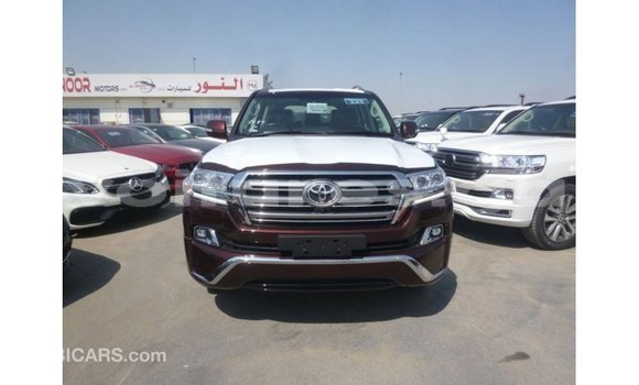 Buy Import Toyota Land Cruiser Red Car in Import - Dubai in Estuary Buy Import Toyota Land Cruiser Red Car in Import - Dubai in Estuary