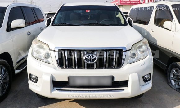 Acheter Import Voiture Toyota Prado Blanc à Import - Dubai, Estuaire Acheter Import Voiture Toyota Prado Blanc à Import - Dubai, Estuaire
