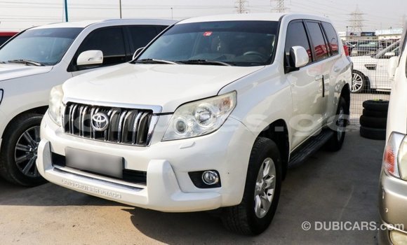 Acheter Import Voiture Toyota Prado Blanc à Import - Dubai, Estuaire Acheter Import Voiture Toyota Prado Blanc à Import - Dubai, Estuaire