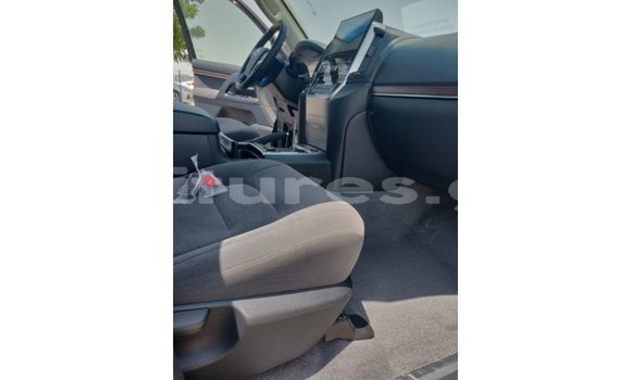 Sayi Imported Toyota Land Cruiser Black Mota in Import - Dubai a estuary Sayi Imported Toyota Land Cruiser Black Mota in Import - Dubai a estuary