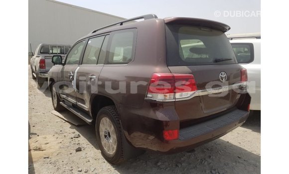 Acheter Import Voiture Toyota Land Cruiser Marron à Import - Dubai, Estuaire Acheter Import Voiture Toyota Land Cruiser Marron à Import - Dubai, Estuaire