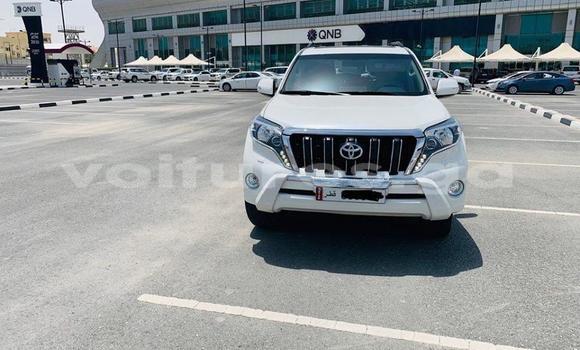 Sayi Na hannu Toyota Land Cruiser Prado White Mota in Libreville a estuary Sayi Na hannu Toyota Land Cruiser Prado White Mota in Libreville a estuary